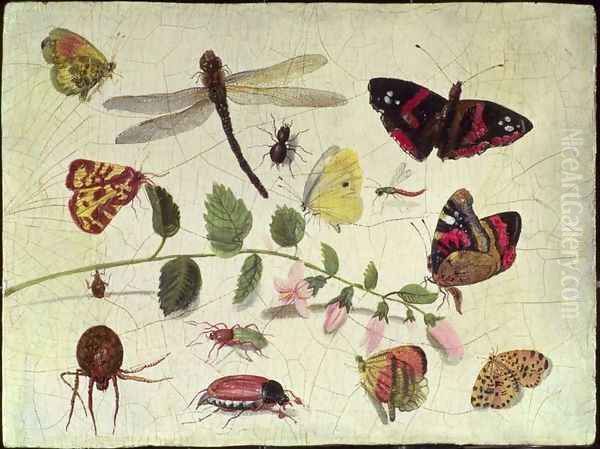 Butterflies Insects and Flowers Oil Painting by Jan van Kessel