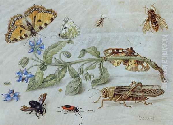 A Study of Insects Oil Painting by Jan van Kessel