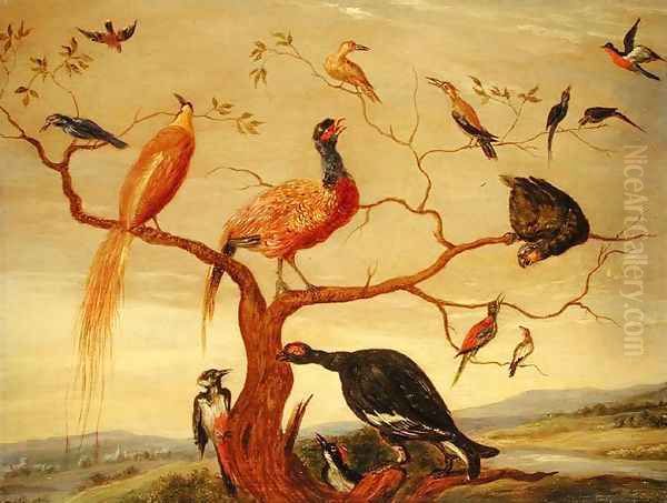 A Concert of Birds Oil Painting by Jan van Kessel