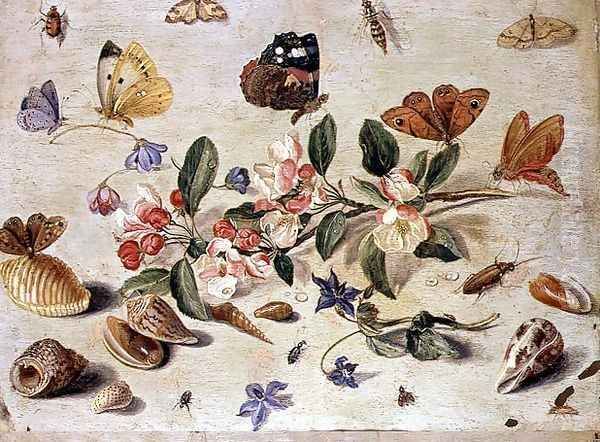 A Study of Flowers and Insects Oil Painting by Jan van Kessel