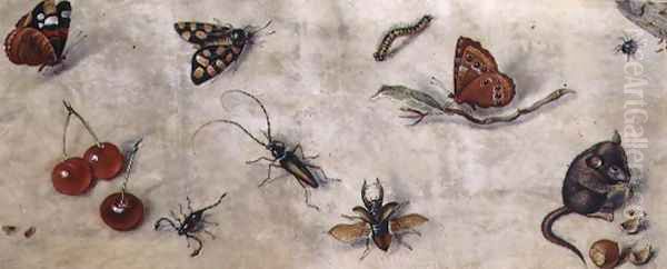 A Study of Various Insects Fruit and Animals Oil Painting by Jan van Kessel