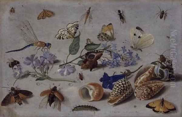 Butterflies and other Insects Oil Painting by Jan van Kessel