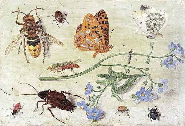 Insects 4 Oil Painting by Jan van Kessel