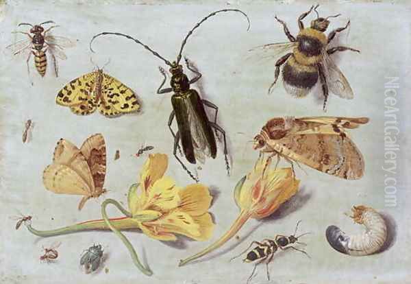 Insects 5 Oil Painting by Jan van Kessel