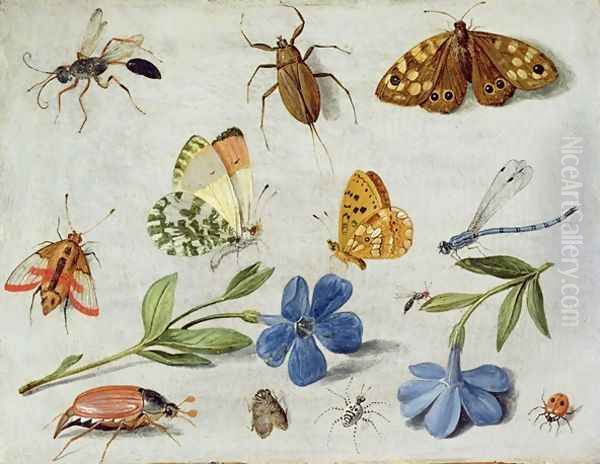 Insects 6 Oil Painting by Jan van Kessel