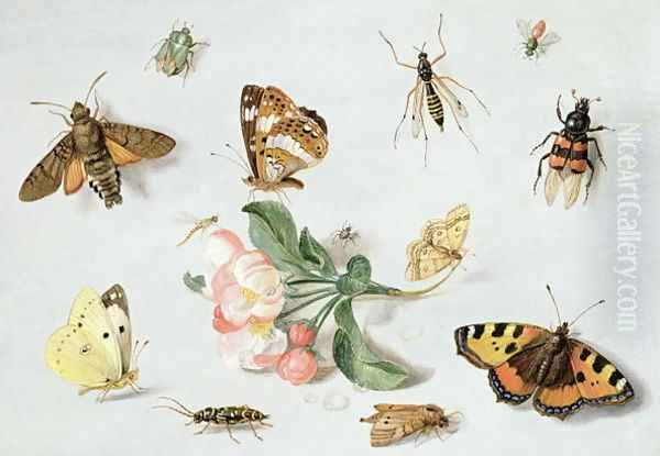 Butterflies moths and other insects with a sprig of apple blossom Oil Painting by Jan van Kessel