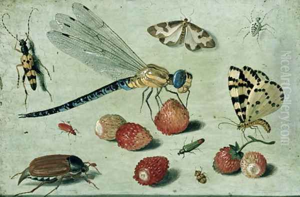 Study of Insects Butterflies and Flowers Oil Painting by Jan van Kessel