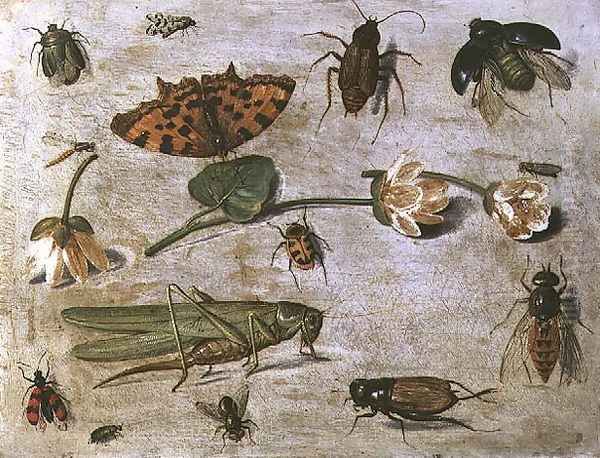 Insects 3 Oil Painting by Jan van Kessel