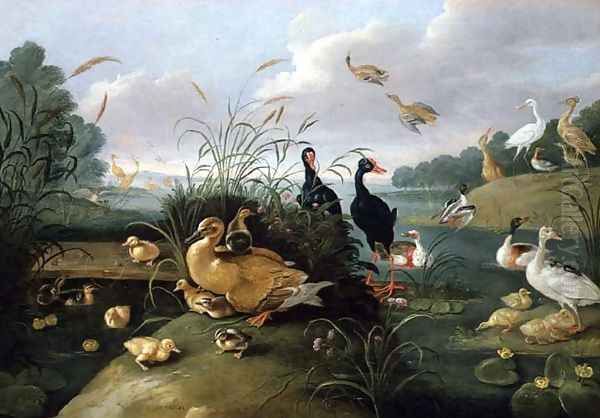 Decorative fowl and ducklings Oil Painting by Jan van Kessel