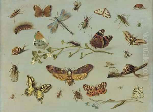 A death's head moth, a red admiral, a caterpillar and an orange-tip butterfly on a sprig of jasmine, a swallowtail butterfly, a garden tiger moth Oil Painting by Jan van Kessel