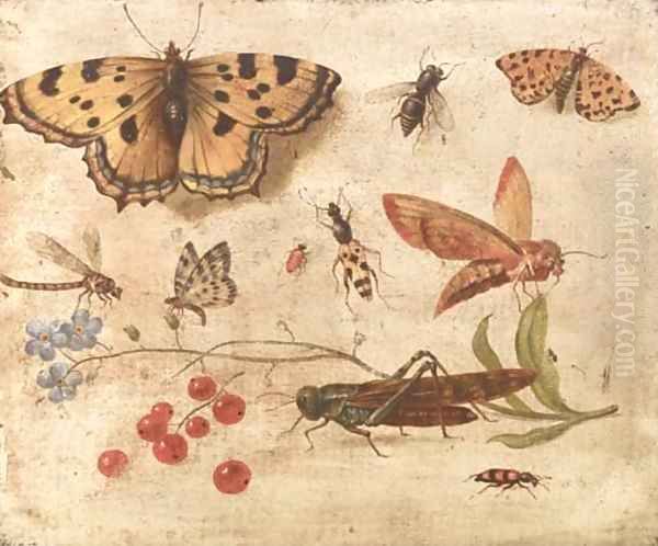 Butterflies, a moth, a cricket, a dragonfly, a beetle and berries Oil Painting by Jan van Kessel