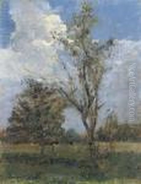 Campagna Con Alberi Oil Painting by Emma Ciardi