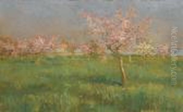 Primavera In Laguna Oil Painting by Guglielmo Ciardi