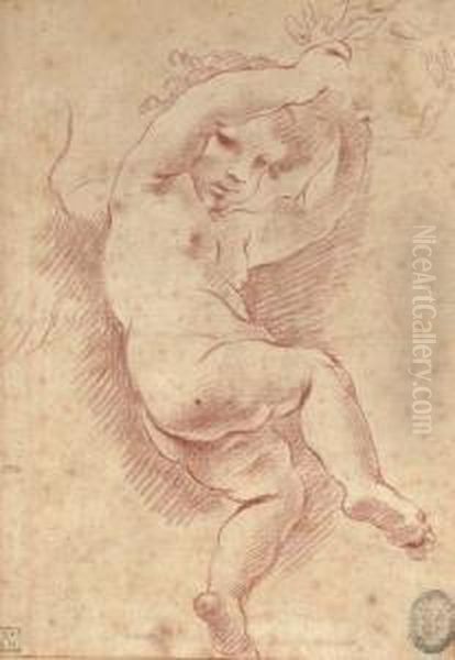 A Flying Putto Holding A Crown Of Laurel Oil Painting by Carlo Cignani