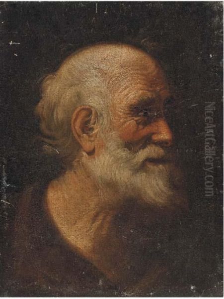 Head Of A Male Saint Oil Painting by Giacomo Francesco Cipper