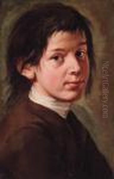 Portrait Of A Boy, Bust-length, In A Brown Jacket Oil Painting by Giacomo Francesco Cipper