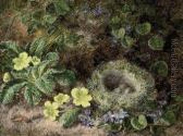 Primroses, Forget-me-nots And A Bird's Nest On A Mossy Bank Oil Painting by George Clare