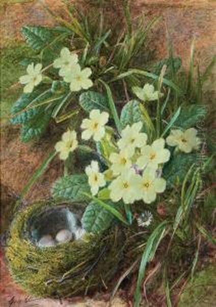 Still Life Of A Bird's Nest And Primroses Oil Painting by George Clare