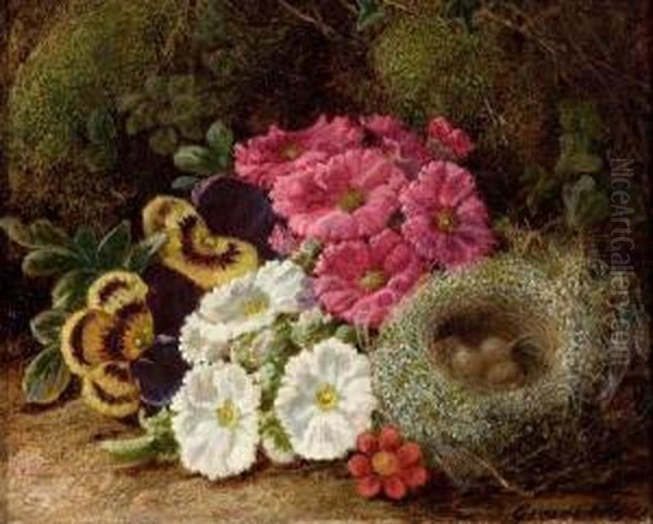 Primulas And A Bird's Nest On A Mossy Bank Oil Painting by George Clare