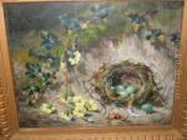 Birds Nest And Primroses Oil Painting by George Clare