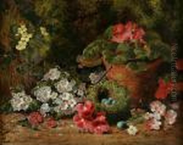 Primroses, Geraniums And A Bird's Nest On A Bank Oil Painting by George Clare