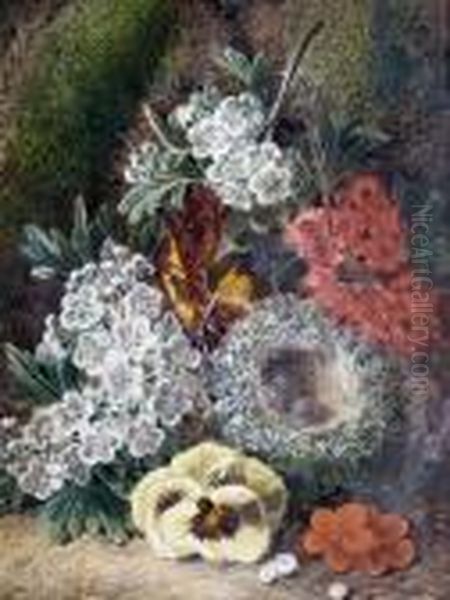 Primroses, A Birds Nest And 
Other Flowers On Amossy Bank; Plums, Grapes And Raspberries On A Mossy 
Bank Oil Painting by George Clare