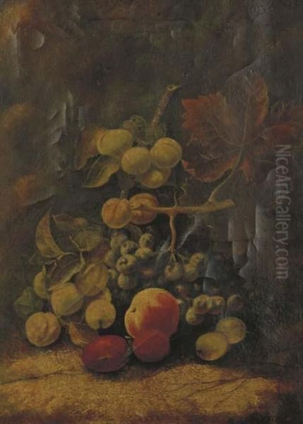 Still Life With Figs, Grapes, Peaches And Plums On A Stone Ledge Oil Painting by George Clare