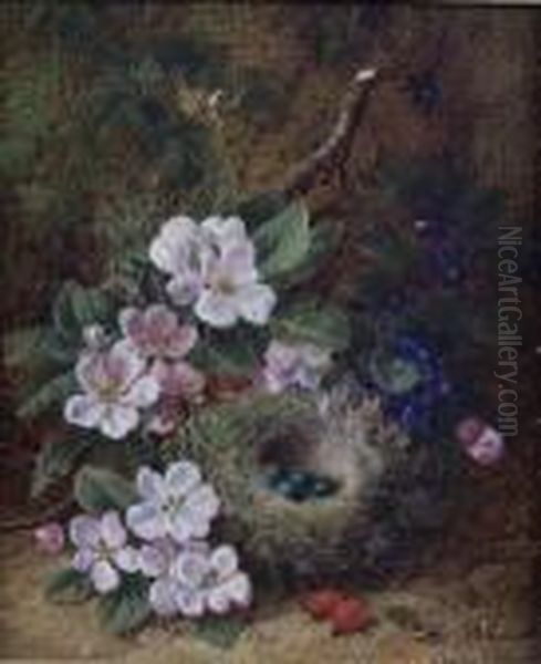 A Still Life Studyof A Hedge Sparrows Nest And Apple Blossom Oil Painting by George Clare