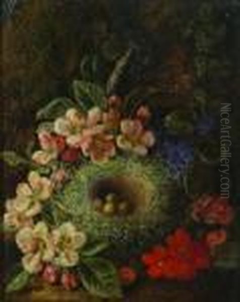 Still Life With Bird's Nest Oil Painting by George Clare