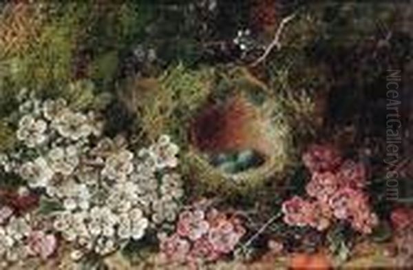 Flowers And A Bird's Nest On A Mossy Bank Oil Painting by George Clare