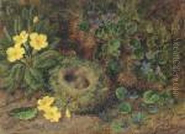 Primroses, Violets And A Bird's Nest With Eggs Oil Painting by George Clare