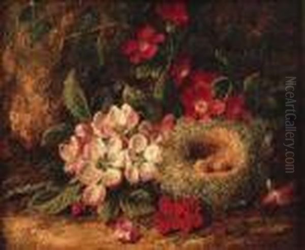 A Still Life Of Bird's Nest And Wild Flowers On A Mossy Bank Oil Painting by George Clare