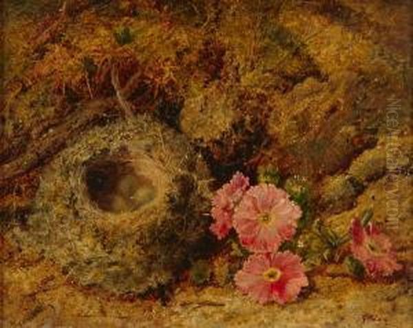 A Still Life With Flowers And Bird's Nest Oil Painting by Oliver Clare