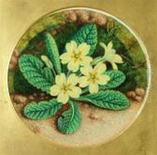 Primrose And Blossom Oil Painting by Oliver Clare