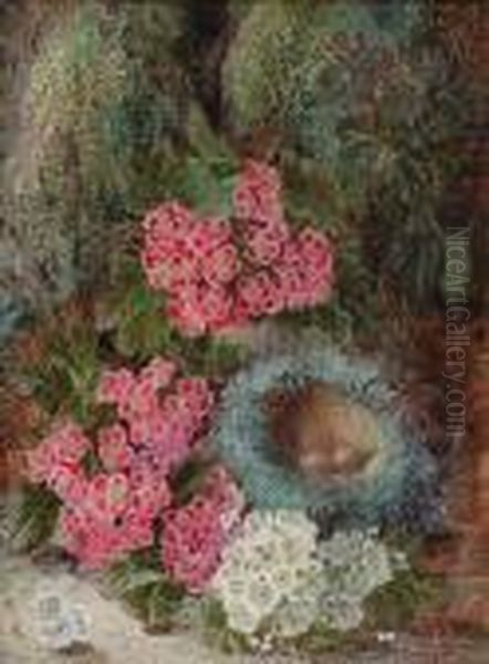 Spring Flowers And A Bird's Nest Oil Painting by Oliver Clare