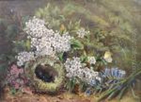 Still Life Of Eggs In A Bird's Nest, Blossomand A Moth On A Mossy Bank Oil Painting by Oliver Clare