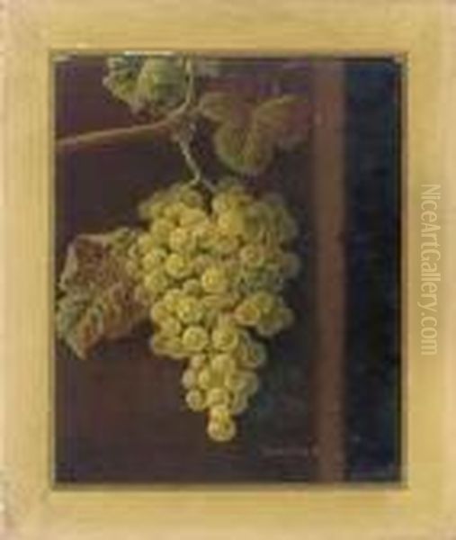 White Grapes; And Red Grapes Oil Painting by Oliver Clare