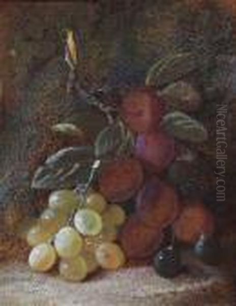 Still Life Of Grapes And Plus On A Mossy Ground Oil Painting by Oliver Clare