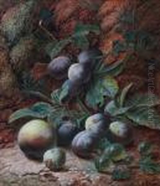 Plums, Gooseberries, A Peach And A Greengage Against A Mossy Bank Oil Painting by Oliver Clare