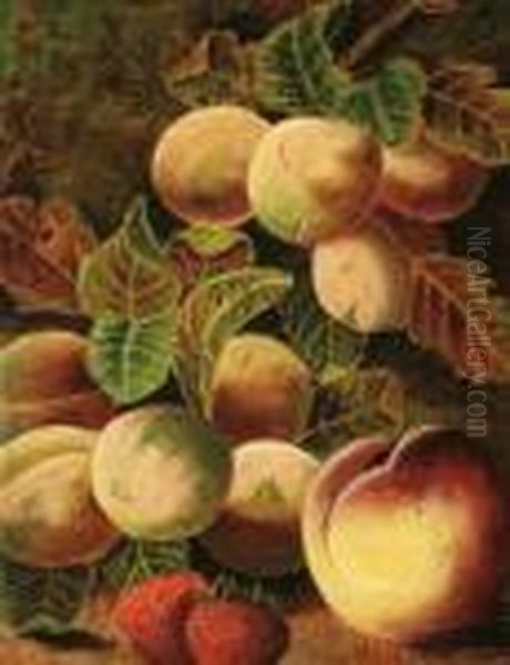 Still Life With Peaches And Plums: Oil Painting by Oliver Clare