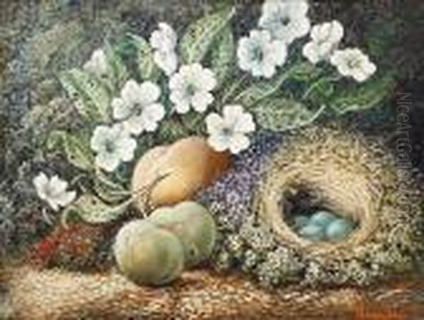 A Still Life Of Fruit, Wild Flowers And A Bird's Nest On A Mossy Bank Oil Painting by Oliver Clare