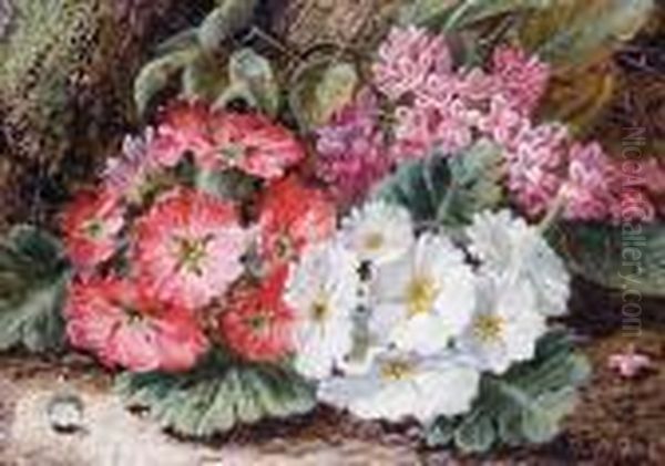 Still Life Of Primroses On A Mossy Bank Oil Painting by Oliver Clare