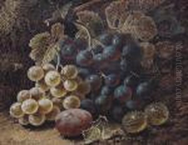 Still Life Of Grapes, Gooseberries And A Plum On A Mossy Bank Oil Painting by Oliver Clare