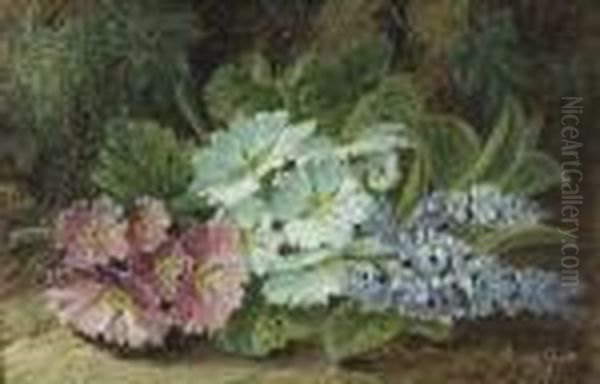 Primula On A Mossy Bank Oil Painting by Oliver Clare