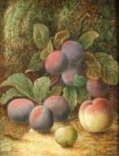 Still Life With Plumsand Other Fruit Oil Painting by Oliver Clare