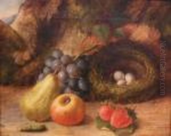 Still Life With Fruit And A Bird's Nest Oil Painting by Oliver Clare