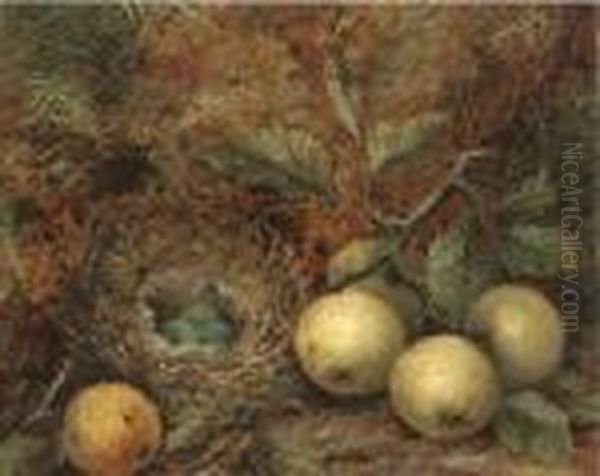 Apples And A Bird's Nest On A Mossy Bank Oil Painting by Oliver Clare