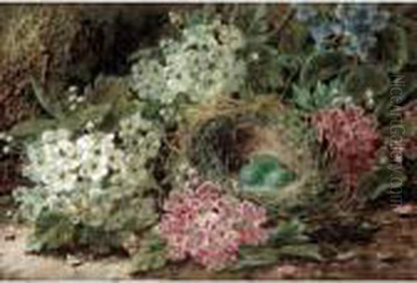 Still Life Of Flowers And A Bird Nest; Still Life Of Fruit Oil Painting by Oliver Clare