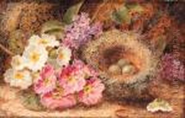 Primroses, Primulas, A Bird's Nest With Eggs, On A Mossy Bank Oil Painting by Oliver Clare