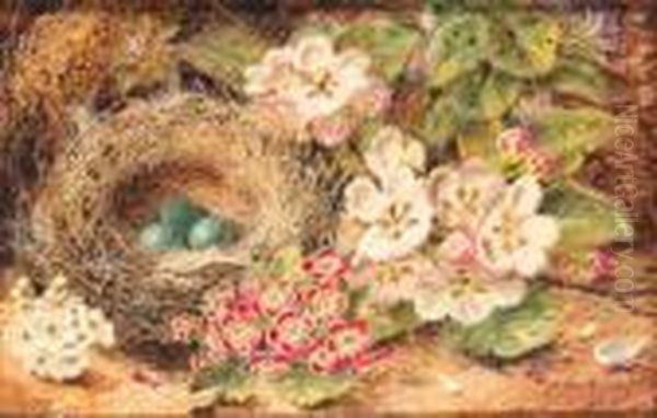 Apple Blossom, Primulas, A Bird's Nest With Eggs, On A Mossybank Oil Painting by Oliver Clare